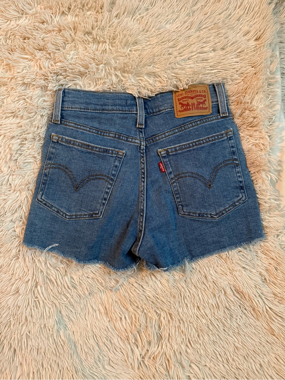 Levi’s Distressed High Rise Shorts
